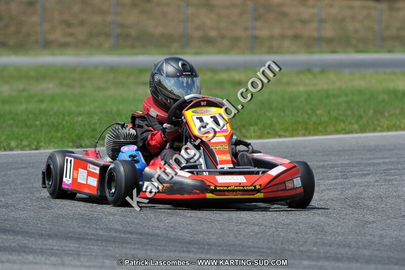 DSC_ (368).jpg